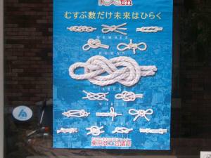 knots on poster of TCCI